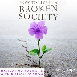 Check your email for your free download link to HOW TO LIVE IN A BROKEN SOCIETY!